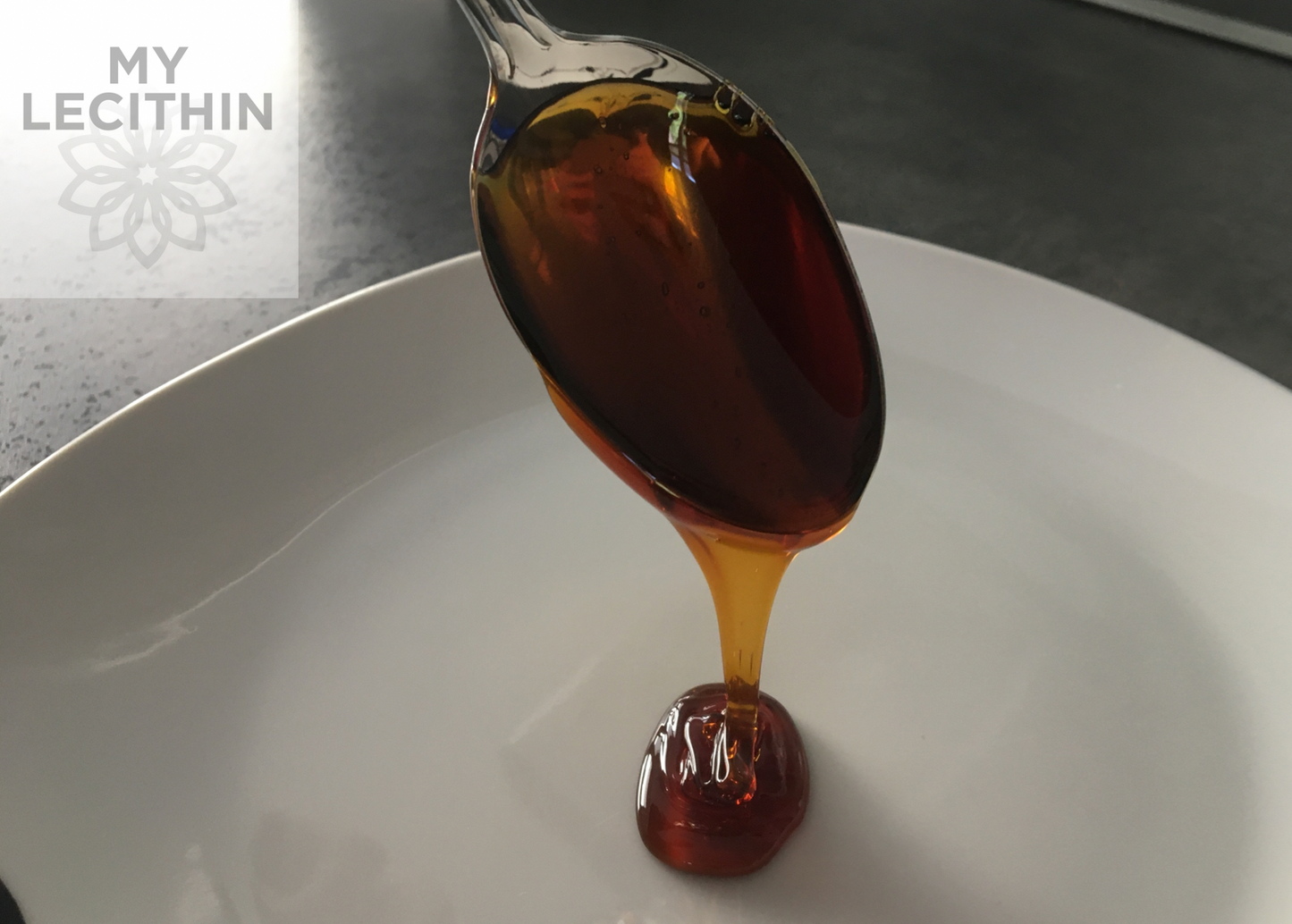 Phosphatidylcholin flüssig aus Sonnenblumenlecithin - 30% konzentriert