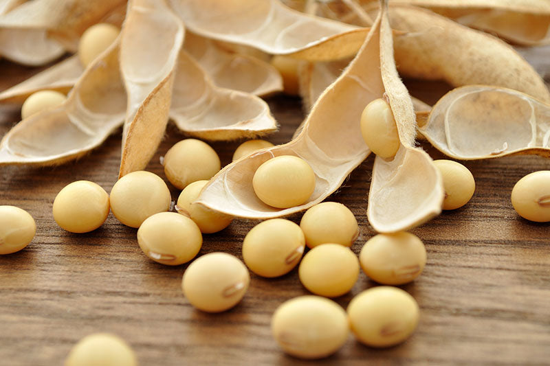 Sojabohnen, Grundlage für Sojalecithin