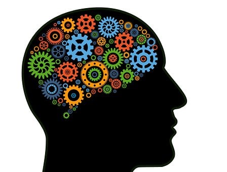 Hochwertiges flüssiges Phosphatidylcholin aus Sojalecithin - die natürliche Wahl für kognitive Gesundheit. Entdecken Sie Qualität auf unserer Website!