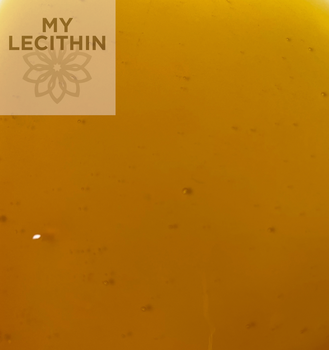 reines flüssiges Sojalecithin - die perfekte Ergänzung für eine ausgewogene Ernährung. Entdecken Sie Qualität und Vielseitigkeit auf unserer Webseite!